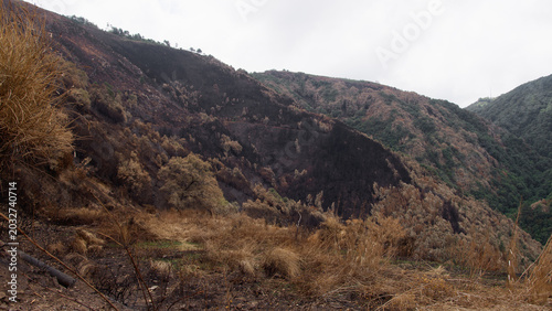 Tableau sur toile Burned Mountain Valley After Wildfire