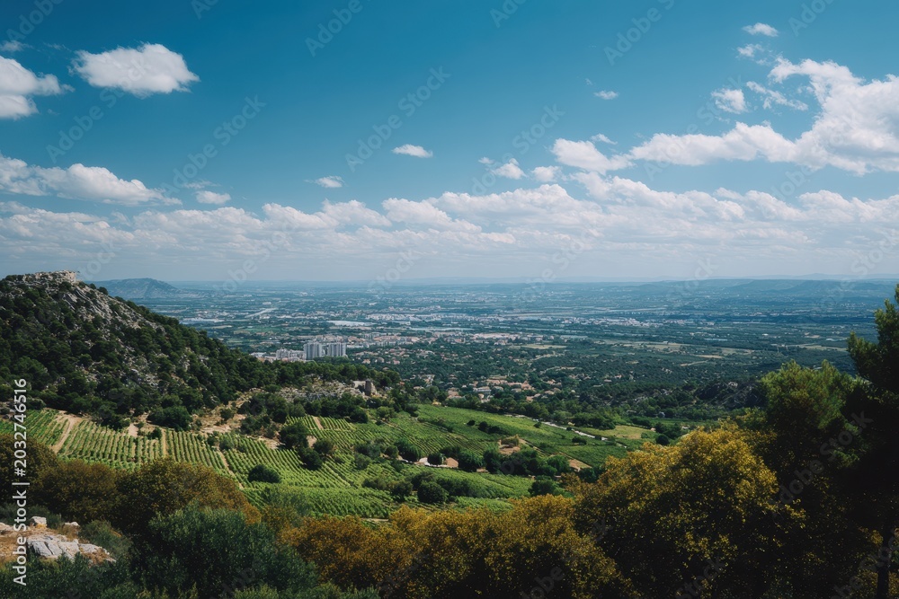 Fototapeta premium Panoramic View of a Lush Green Valley Leading to a Sprawling City Under a Bright Blue Sky with Fluffy White Clouds on a Sunny Day