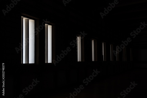 light in the dark