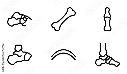 Tableau sur toile Foot Bone Anatomy Vector Icons, Skeletal Structure Medical Illustrations, Human