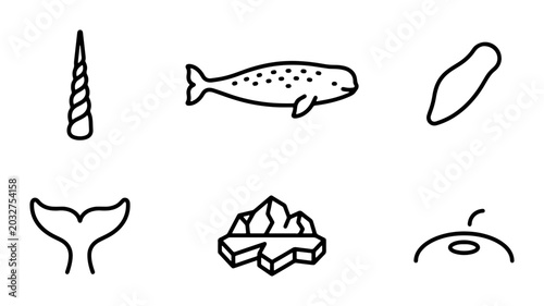 Bild auf Leinwand Arctic Ocean Icons: Narwhal, Iceberg, Whale Tail, Sea Creature, Tusk, Vector Set