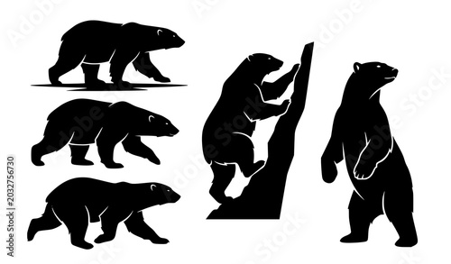 Foto Bear Silhouette Collection with Different Standing and Walking Poses Wildlife Ve