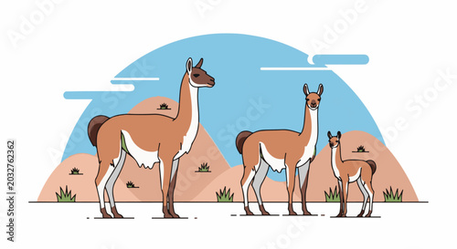 Three camelids stand in a desert landscape with hills and a blue sky