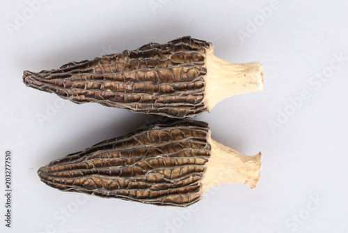 Dried morel mushrooms isolated on white background