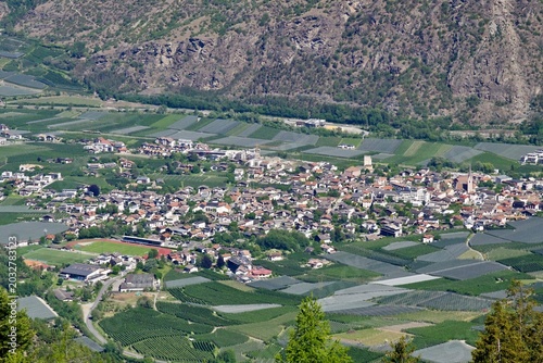 Blick auf Latsch im Vinschgau