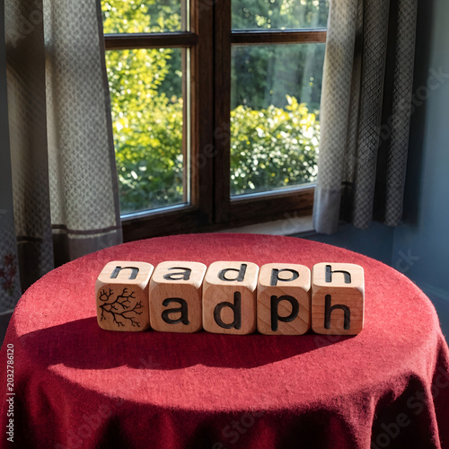 the word nadph is made of wooden cubes on a red table