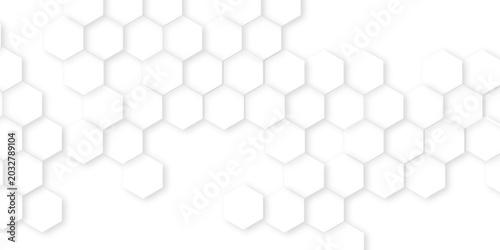 Abstract white background with hexagons. Abstract hexagon polygonal pattern background, digital geometric abstraction with lines and dots, Abstract honeycomb mosaic white background. 
