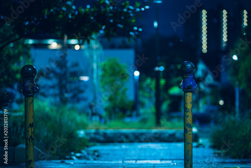 Canvastavla 夜景