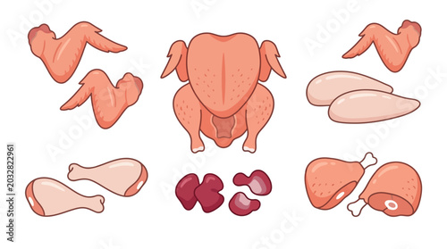 Obraz na płótnie Chicken Parts Illustration With White Background Poultry Cuts Displayed