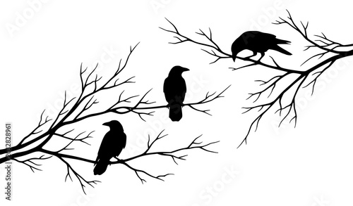 Black Bird Silhouette Sitting on Tree Branch Illustration Vector