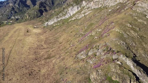 Colorful Landscape Description. Vibrant Violet Landscape With Sunlight. Bright Purple Hill Filled With Flowering Plants. Sunlit Violet Terrain With Lush Vegetation And Blooming Shrubs