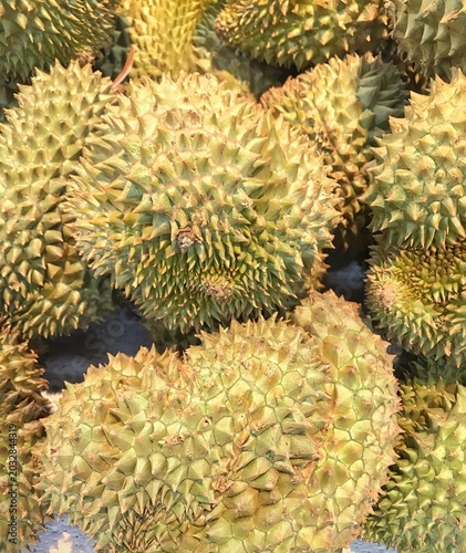 Fresh durian fruits stacked together, showing detailed spiky texture and natural colors. A tropical delicacy called the king of fruits, known for its distinctive smell.