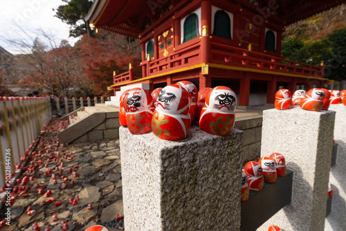 Daruma 7