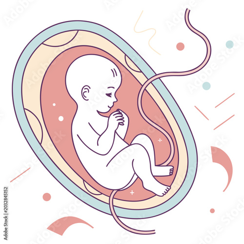 Quadro em tela Healthy fetus inside the womb with an umbilical cord