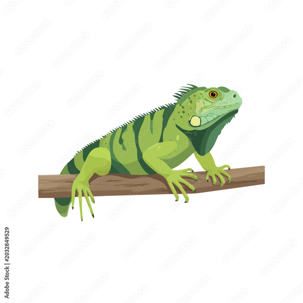 Fototapeta premium Iguana flat vector illustration in a modern and simple 2D style, placed on a white background.