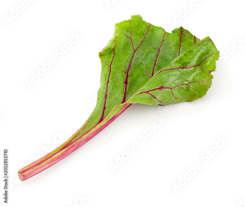 beetroot leaves isolated on white background. clipping path