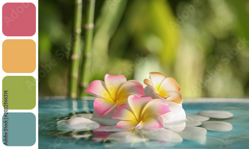 Photography Lake with spa stones and beautiful plumeria flowers in tropical garden