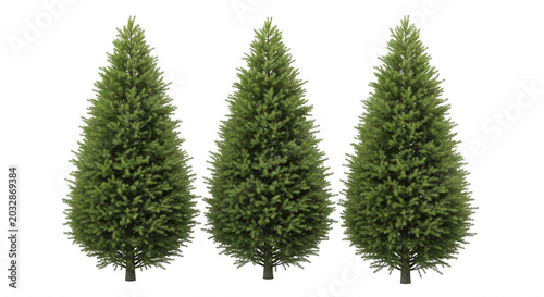 Three identical green coniferous evergreen trees with dense needle foliage isolated on a solid black background, arranged in a row