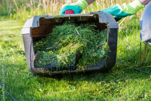 A person wearing bright green garden gloves holds a lawn mower's grass catcher box that is completely filled to the brim with fresh green grass clippings.