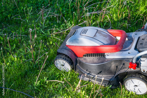 A modern red and grey lawn mower cuts through an overgrown green lawn filled with tall dandelion seed heads during routine yard maintenance.