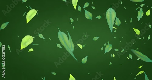 Green leaves falling down on dark green background, seamless loop.
