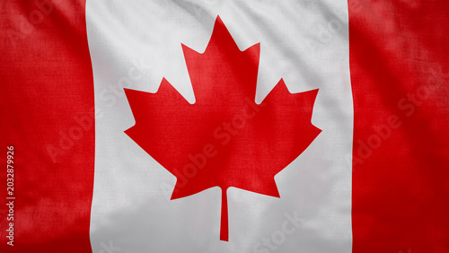 Canvastavla Canadian flag waves softly in the breeze