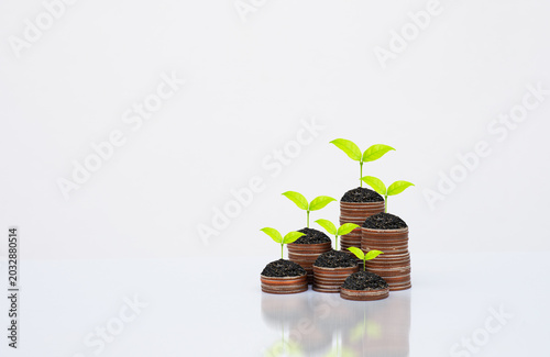 Coin stack money saving concept with green leaf plants growing on rows of coins on white background. Concept of financial growth, investment planning, and business finance. money management wellness.