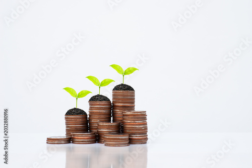 Coin stack money saving concept with green leaf plants growing on rows of coins on white background. Concept of financial growth, investment planning, and business finance. money management wellness.