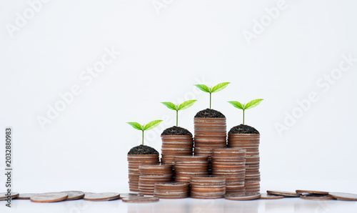 Coin stack money saving concept with green leaf plants growing on rows of coins on white background. Concept of financial growth, investment planning, and business finance. money management wellness.
