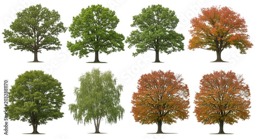 Collection of eight isolated deciduous trees with green and autumn orange foliage on a black background, featuring various shapes and species