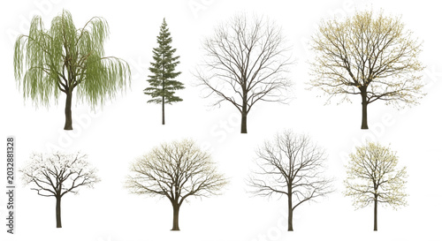 Collection of eight isolated trees including a weeping willow, a pine, and various deciduous trees with white and green foliage on black