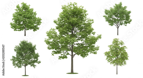 Collection of five isolated deciduous trees with lush green foliage and brown trunks, set against a solid black background