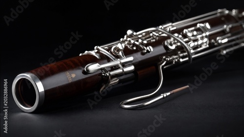 Obraz na plátně bassoon