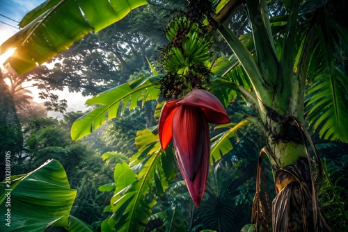 High Resolution Tropical Garden Landscape Featuring Banana Tree and Exotic Flower