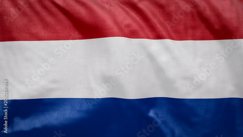Dutch flag waves softly in the breeze. 2026 soccer tournament participating team flags. Perfect for football and sports event graphic assets. Netherlands Flag