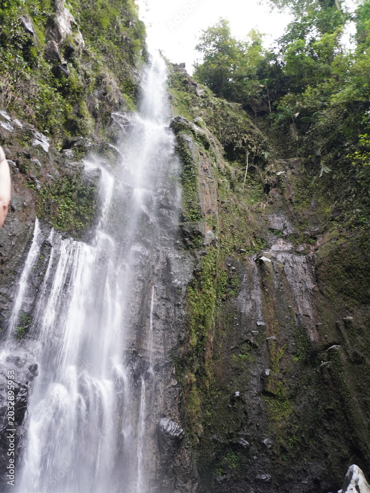 Obraz premium Waterfall cascading down a lush green rocky cliff face in a tropical rainforest setting captured in a detailed natural photograph