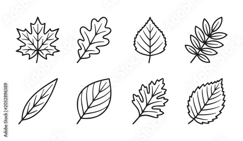 Assorted autumn leaves in a clean line drawing style on a white background for seasonal design
