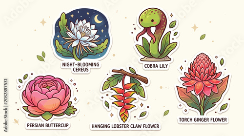 Obraz na płótnie Collection of five stylized botanical illustrations featuring unique flowers and plants with charming cartoonish designs