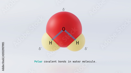 Photos 3d illustration of covalent bonding in water molecule between oxygen and hydroge