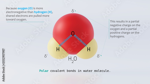 Photos 3d illustration of covalent bonding in water molecule between oxygen and hydroge