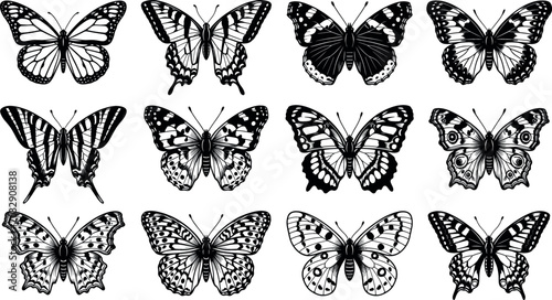 Foto Collection of black butterfly silhouettes and detailed stencil line icons in var