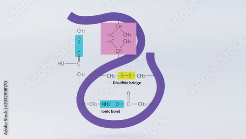 3d illustration of hydrophobic interactions in polypeptide chains with ionic and disulfide bonds