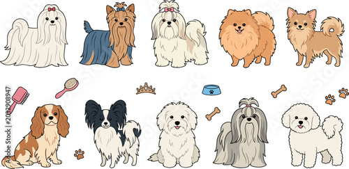 Foto Cute small dog breeds collection featuring maltese yorkshire terrier shih tzu po