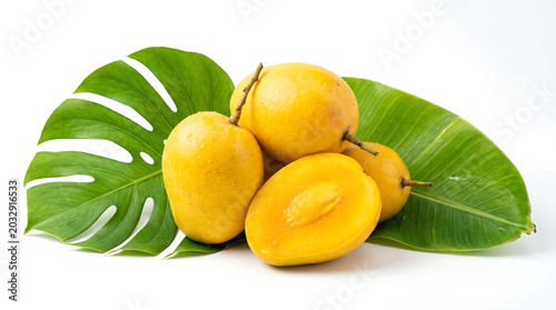 Fresh exotic yellow loquat fruit, one perfectly cut open, displayed with tropical green monstera leaves on a pristine white background