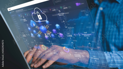 API integration and cloud security architecture, SaaS microservices data exchange, CRM connectivity, secure cloud storage, software development backend system