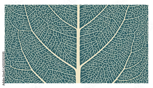Fotografia Leaf vein pattern showing intricate skeletal structure in botanical style