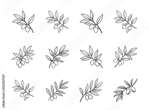 Olive Branch Elements Collection