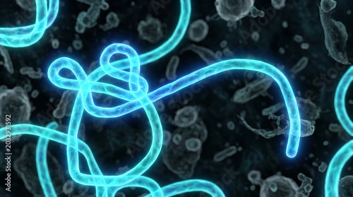 Obraz na płótnie 3d render of ebola virus particles