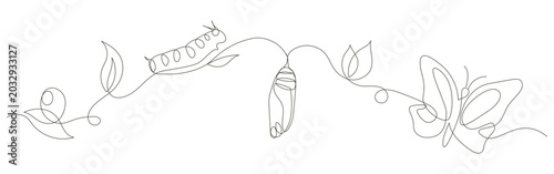 continues line art egg caterpillar chrysalis butterfly nature cycle artistic graphic design.