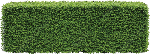 Rectangular green hedge isolated on white background for garden design and landscaping architectural visualization vector illustration element